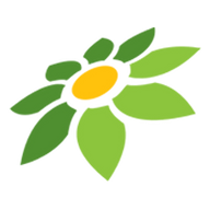 PROXY SERVER FOR VIDEO CONTENT